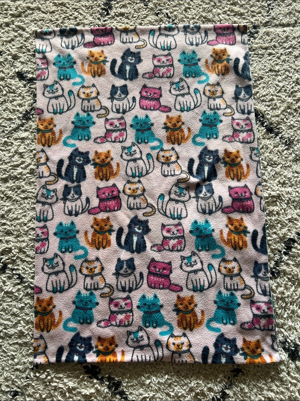 43 x 28.5 inches soft kitty cat baby or pet planket